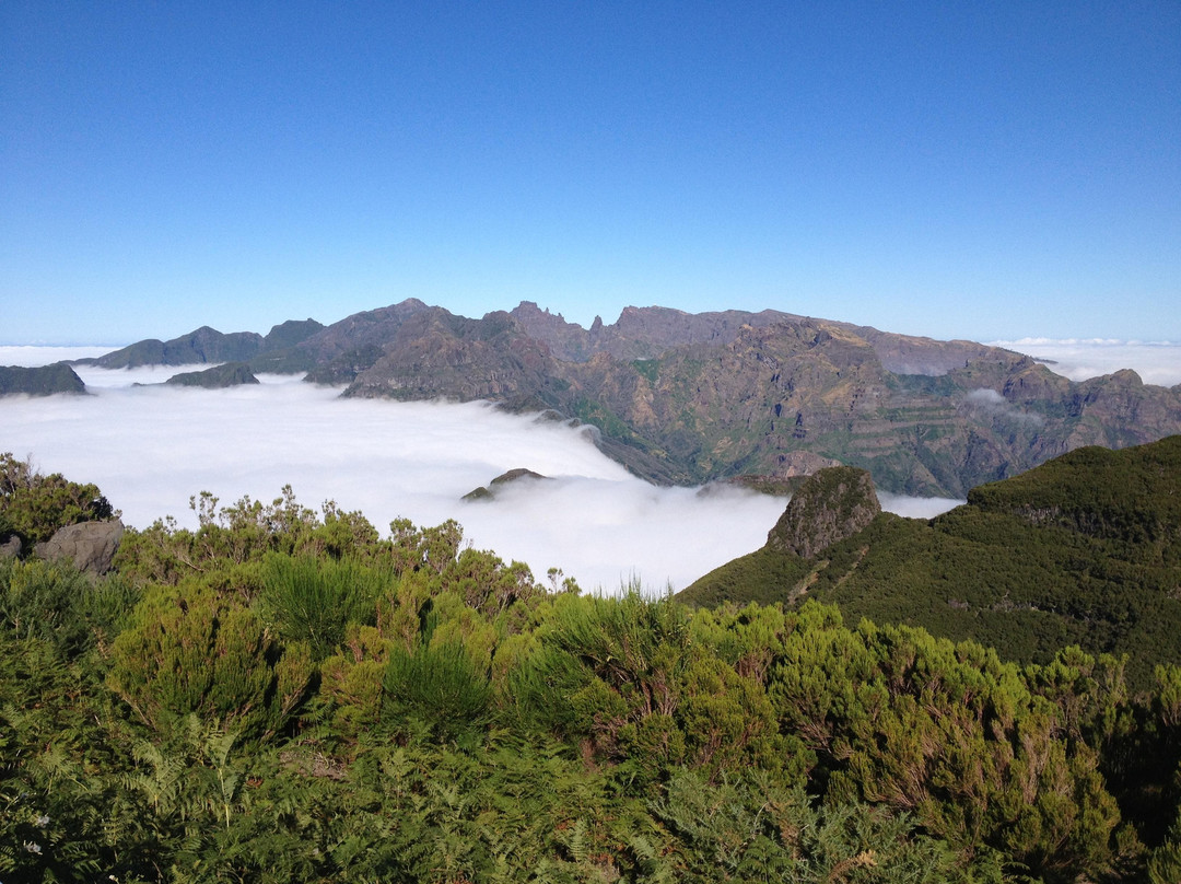 Ponta Do Sol旅游景点-Bica Da Cana