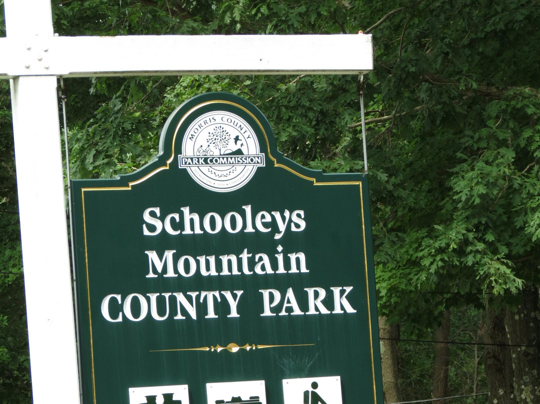 Schooleys Mountain County Park景点图片