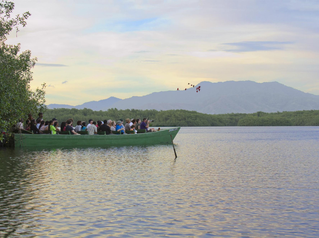 Madoo Bird Tours-Caroni必去景点