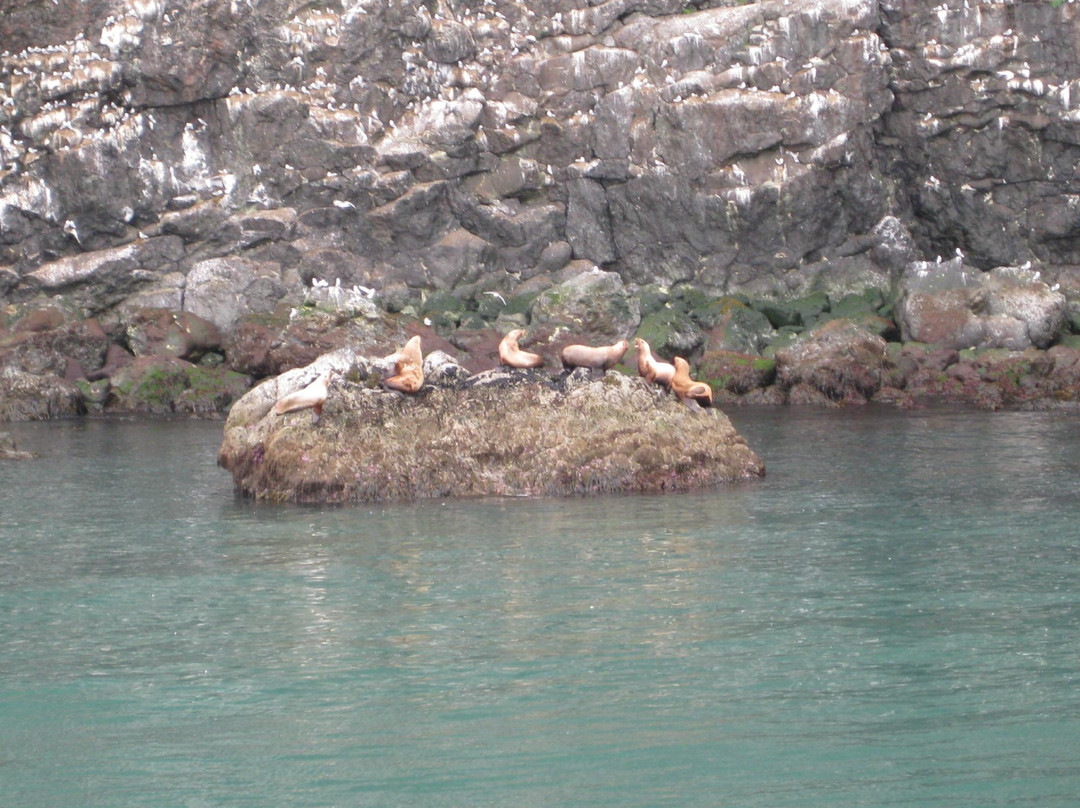复兴海湾-苏厄德必去景点