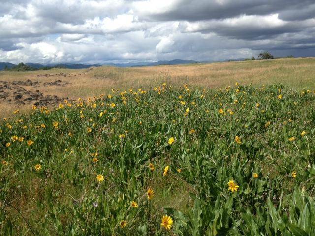 Upper and Lower Table Rock-梅德福必去景点