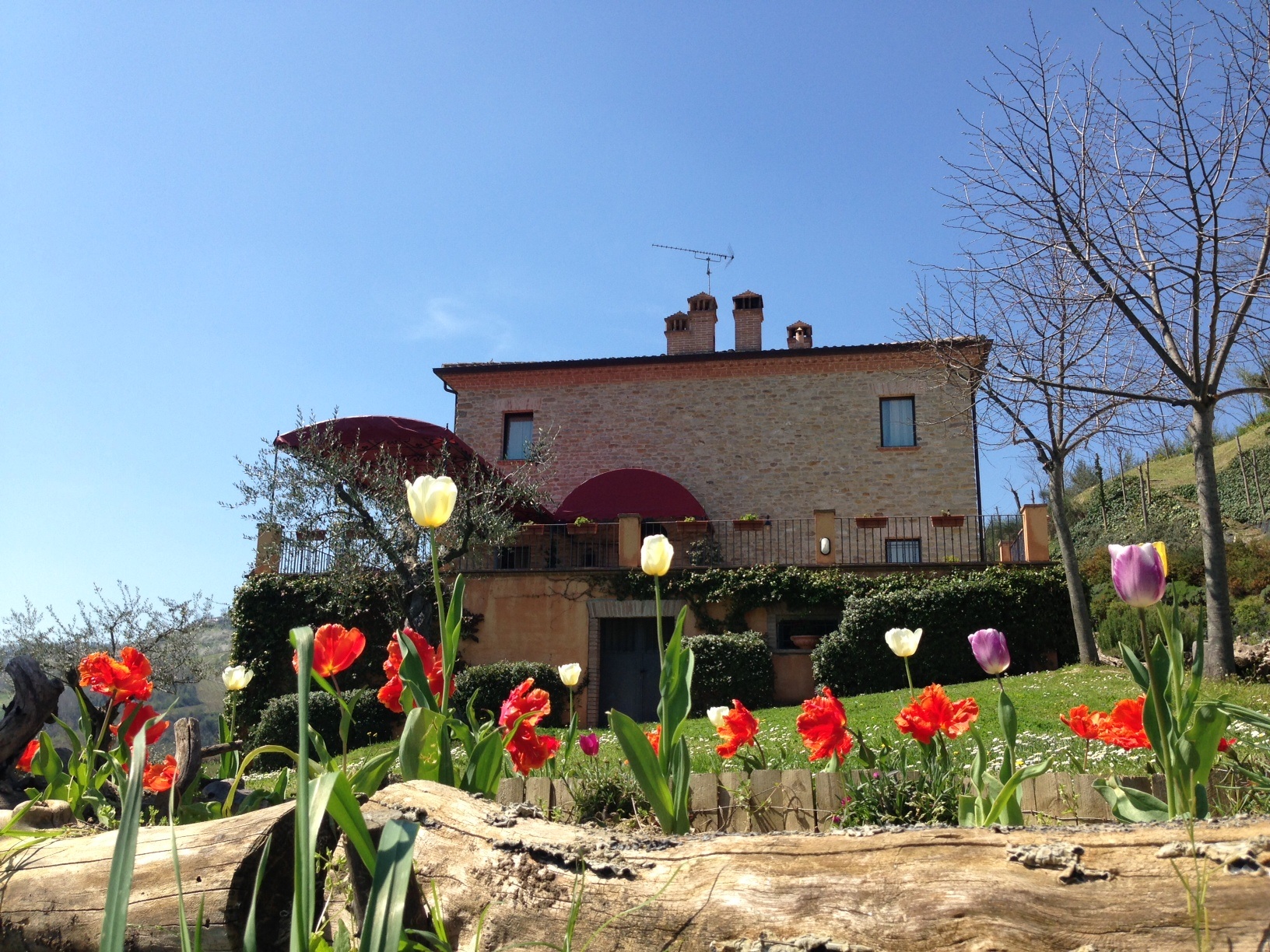 Poggio degli Ulivi-官方