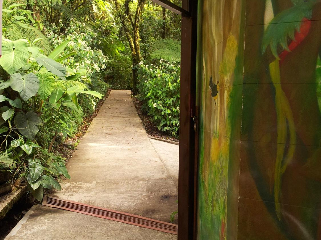 Reserva Bosque Nuboso Santa Elena景点图片