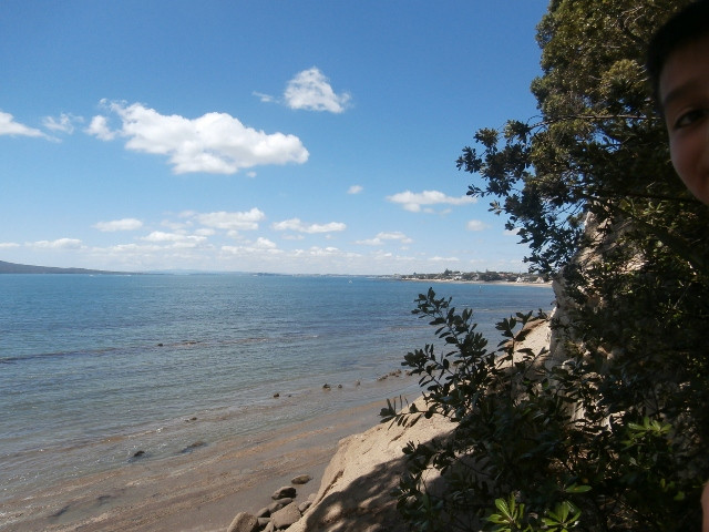 St. Helier's Bay-奥克兰中心地区必去景点