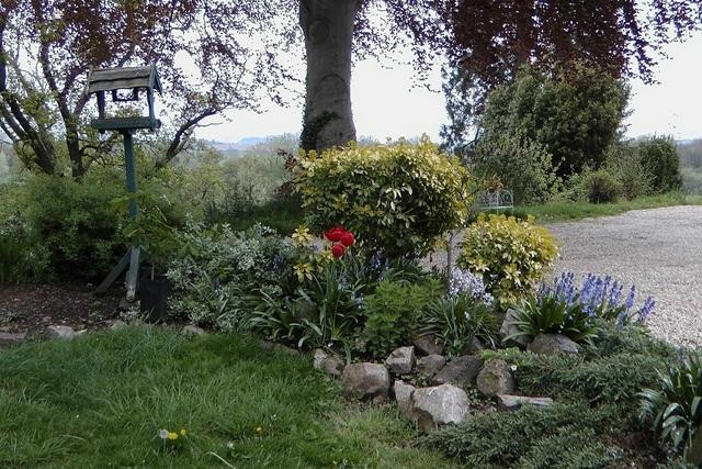 The Exe Valley Bed and Breakfast主图