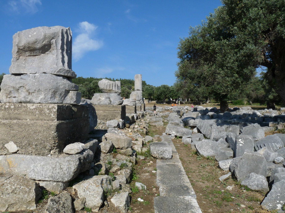 Teos Antik Kenti景点图片