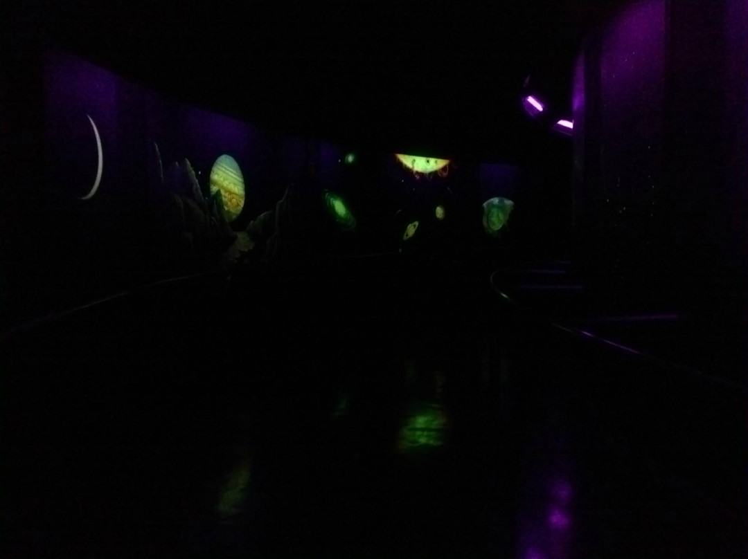 Abrams Planetarium景点图片