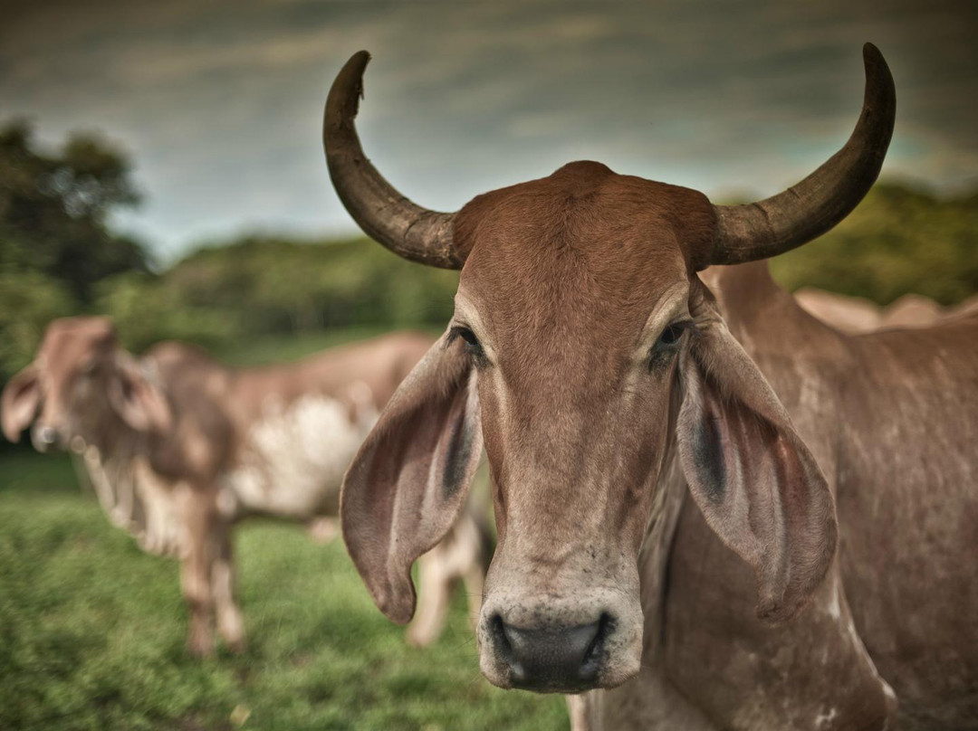 La Senda-Santa Rosa必去景点