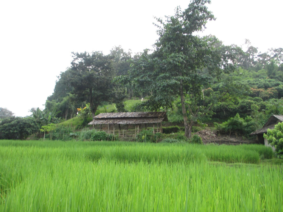 邦东龙-清迈必去景点