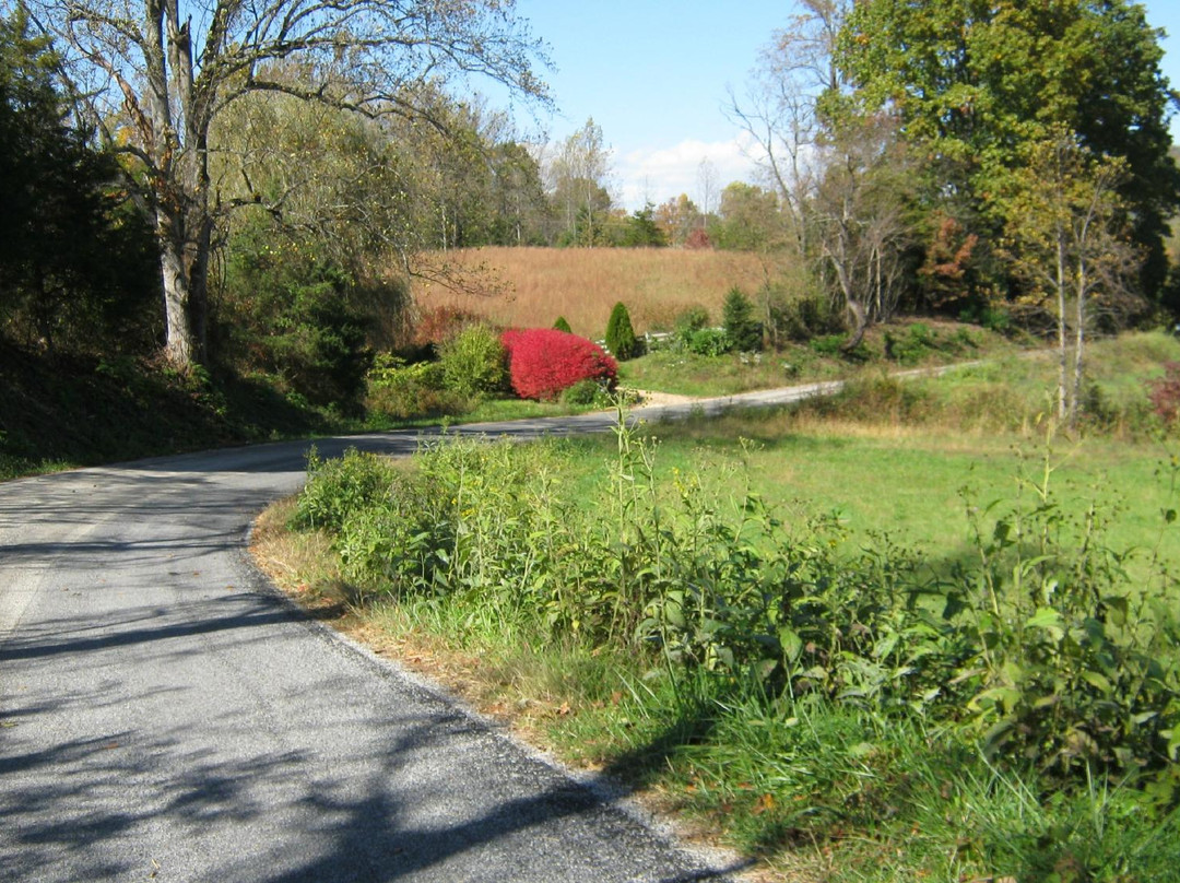 Lovingston Winery-Lovingston必去景点