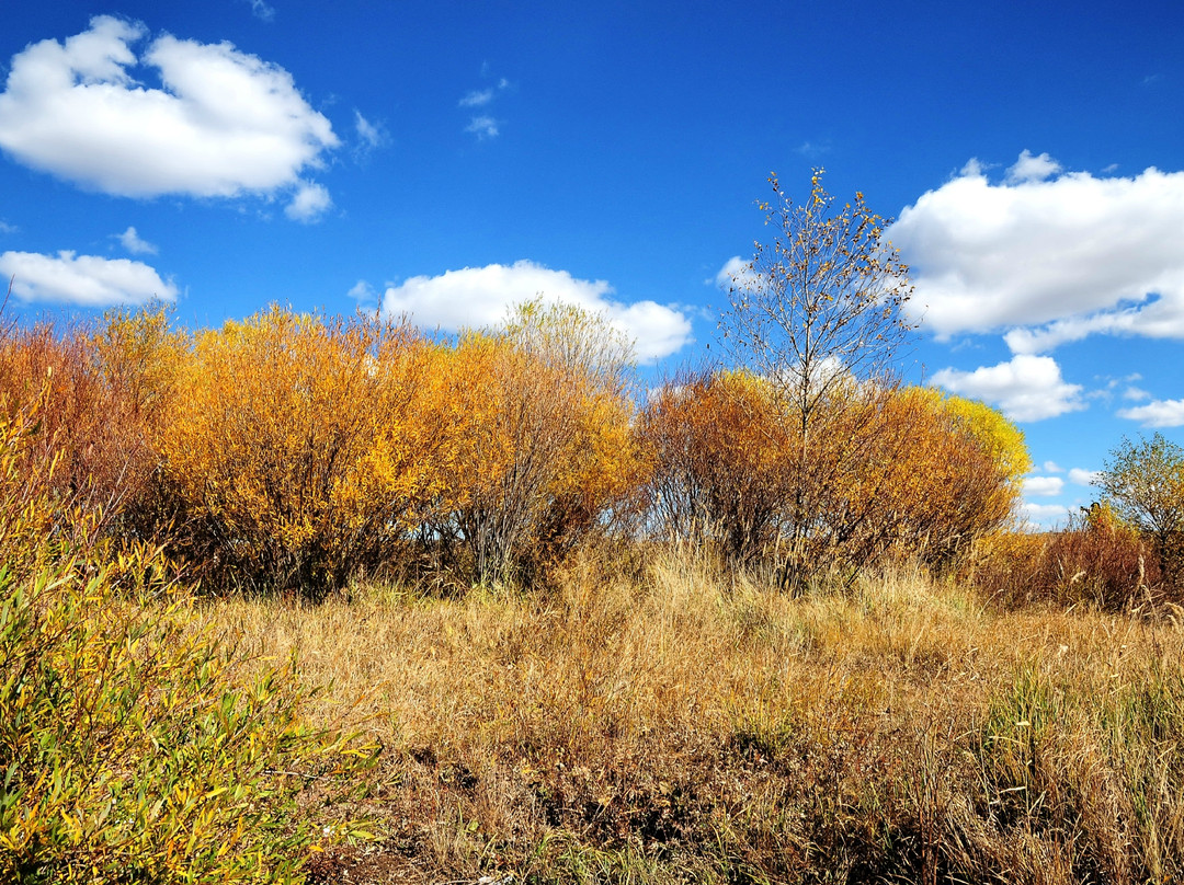 多伦诺尔湖-多伦县必去景点