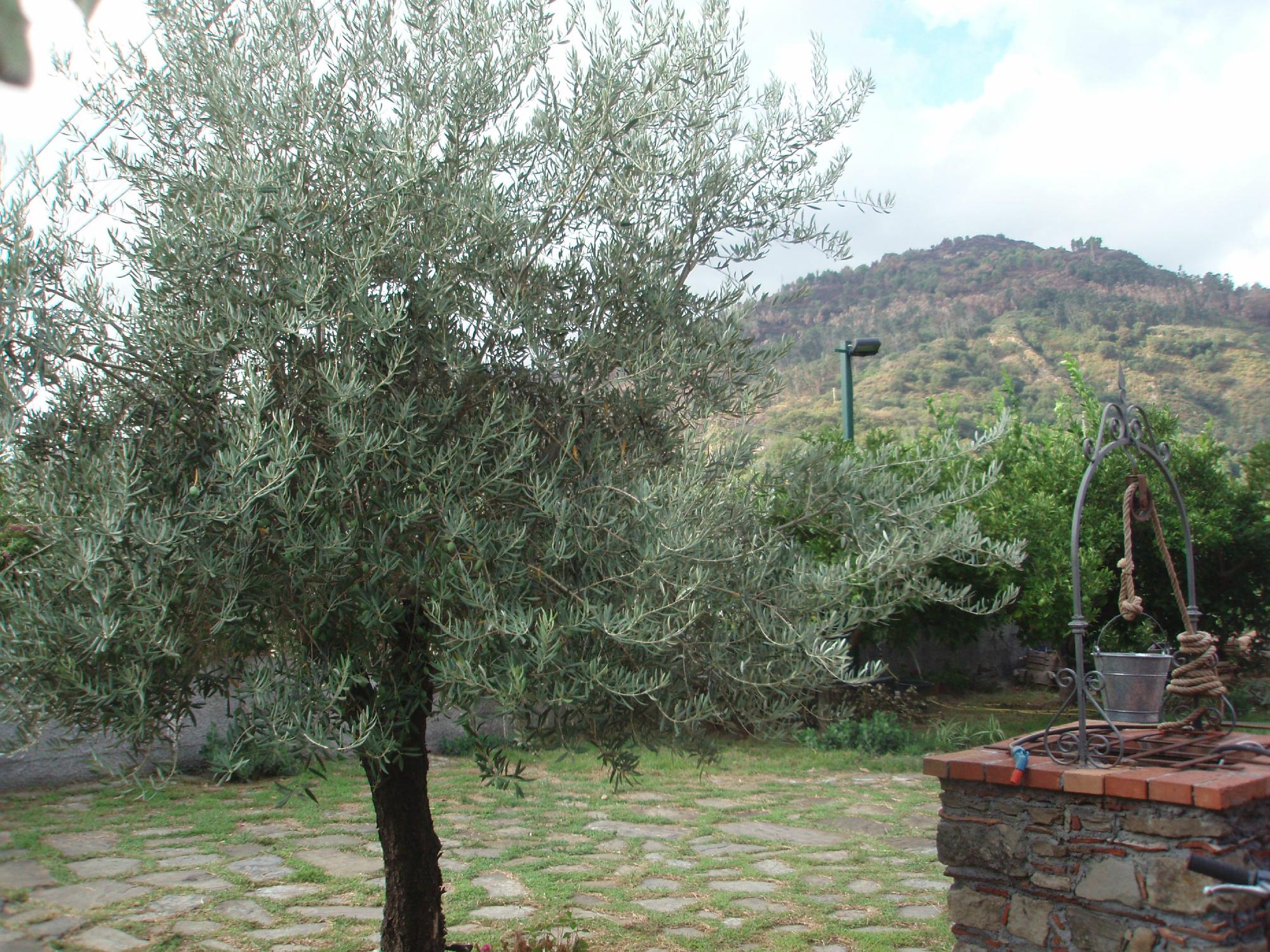 Bed and Breakfast Villa Rita-浴室