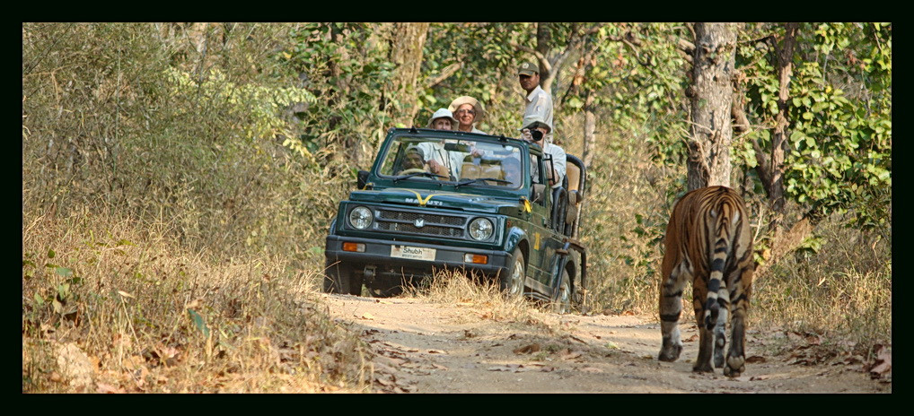 Royal Tiger Resort主图