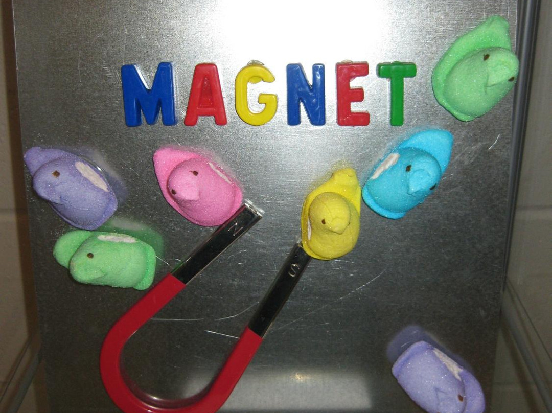 Racine Art Museum-拉辛必去景点