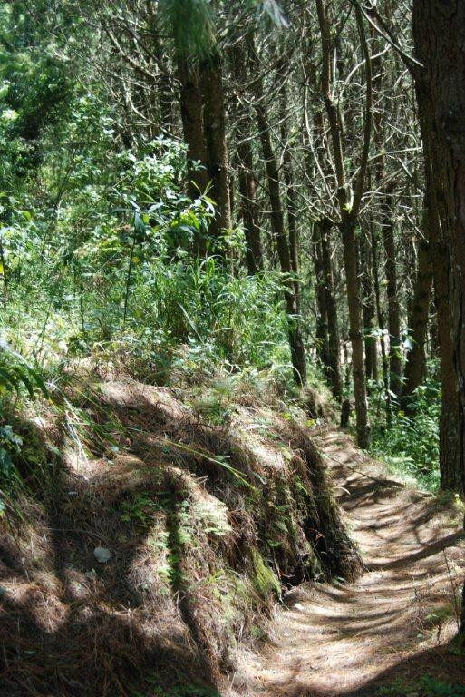 Estancia Dulcelina主图