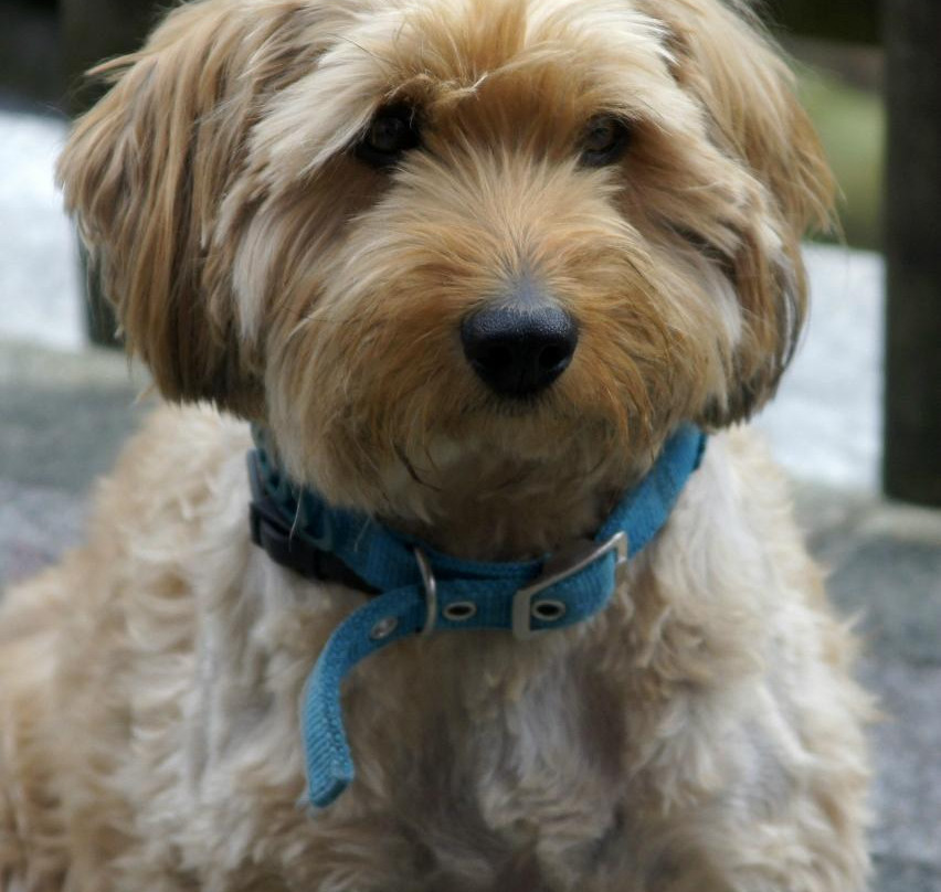 Gasthof Falkenstein主图