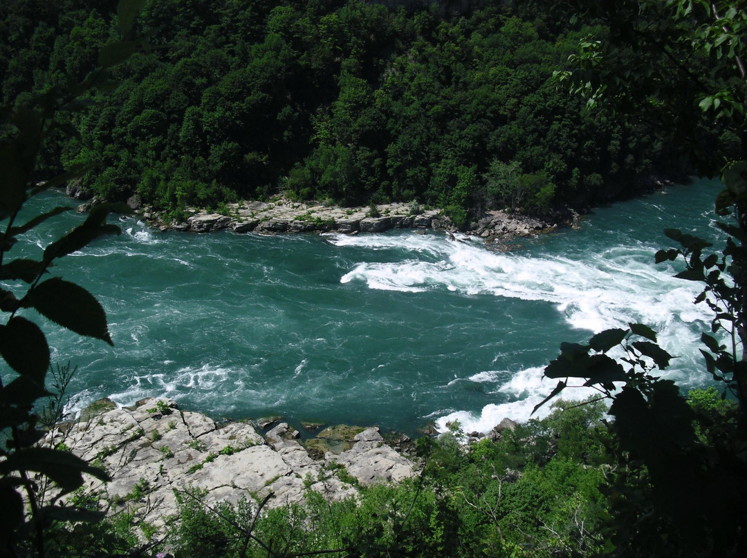 Whirlpool State Park-尼亚加拉大瀑布必去景点