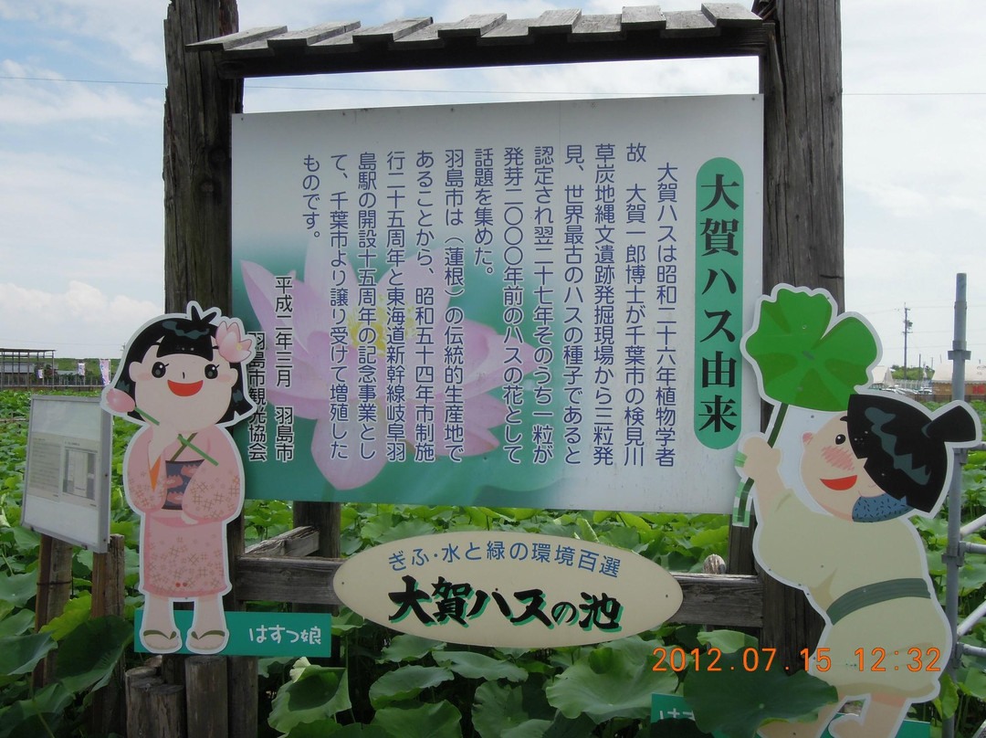 Oga Hasuen-羽岛市必去景点