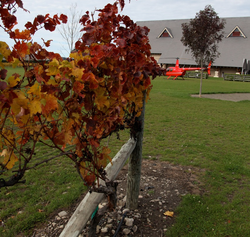 HELiPRO-基督城必去景点