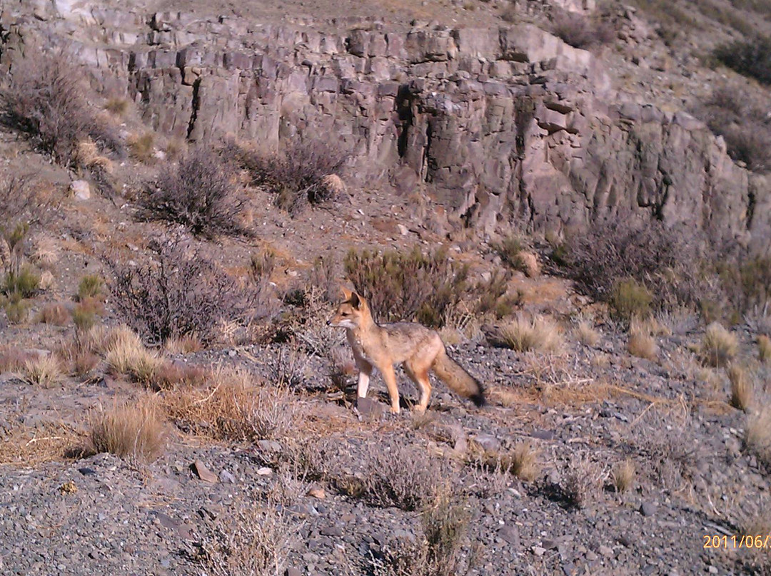 Via Vento-Godoy Cruz必去景点