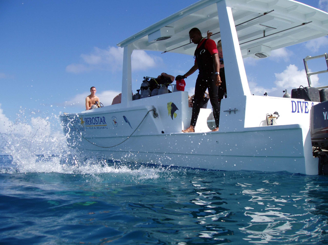 Dressel Divers Puerto Plata-普拉塔港必去景点
