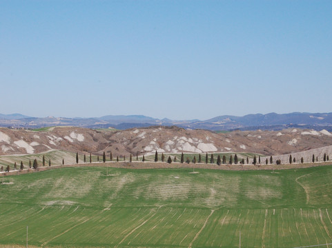 We Drive You Tuscany-锡耶纳必去景点