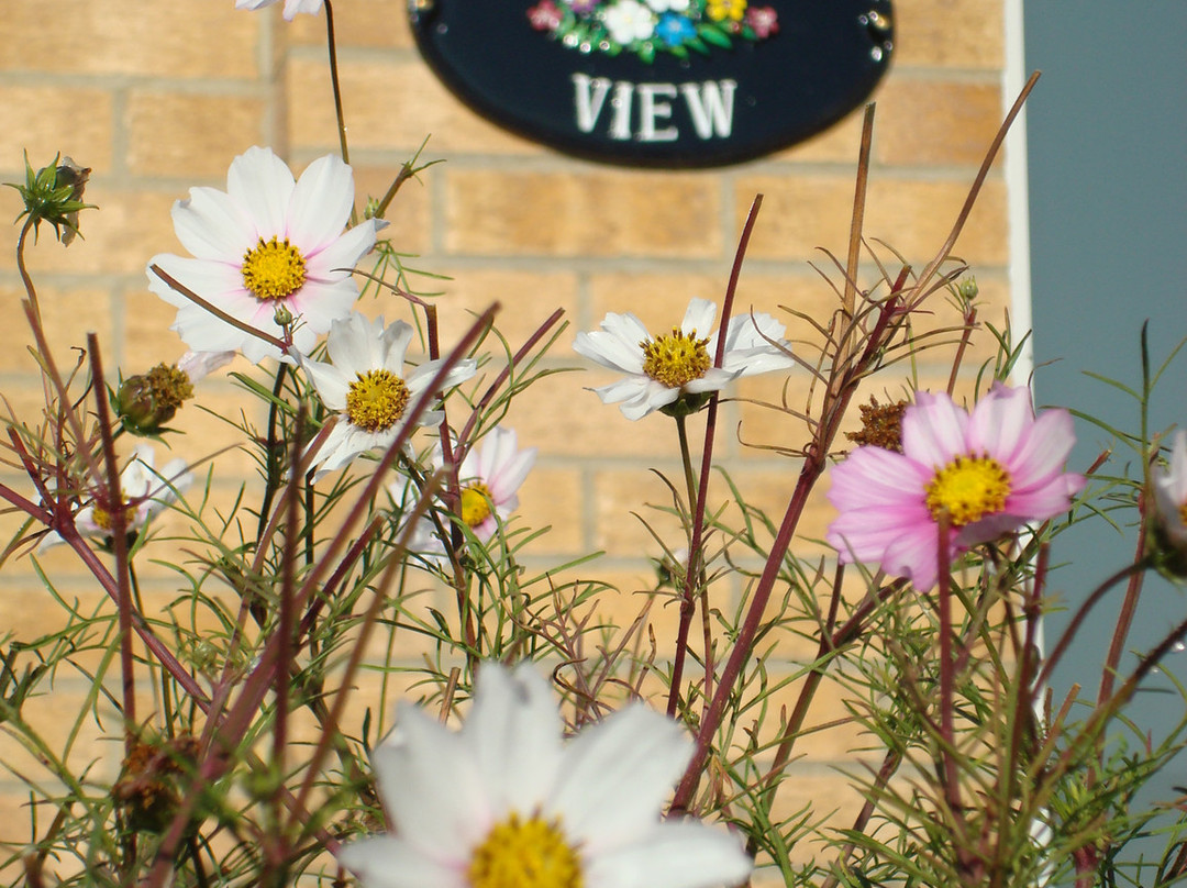 Lodge View B and B主图