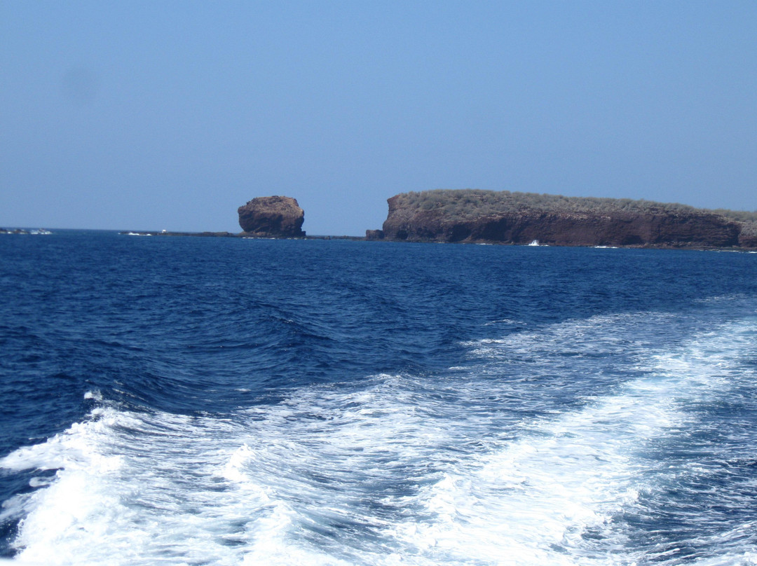 Expeditions Lahaina/Lanai Passenger Ferry-拉海纳必去景点