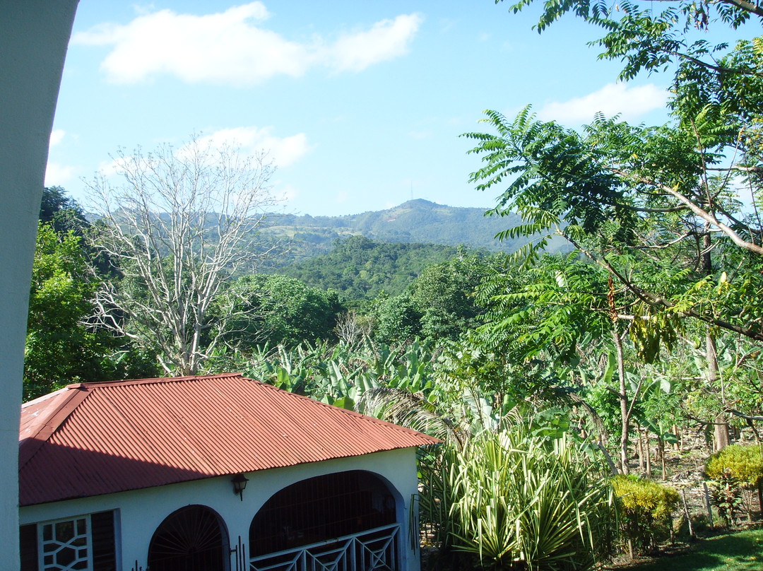 Circle B Farm