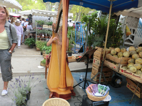 Place Des Lices Market-圣特罗佩斯必去景点