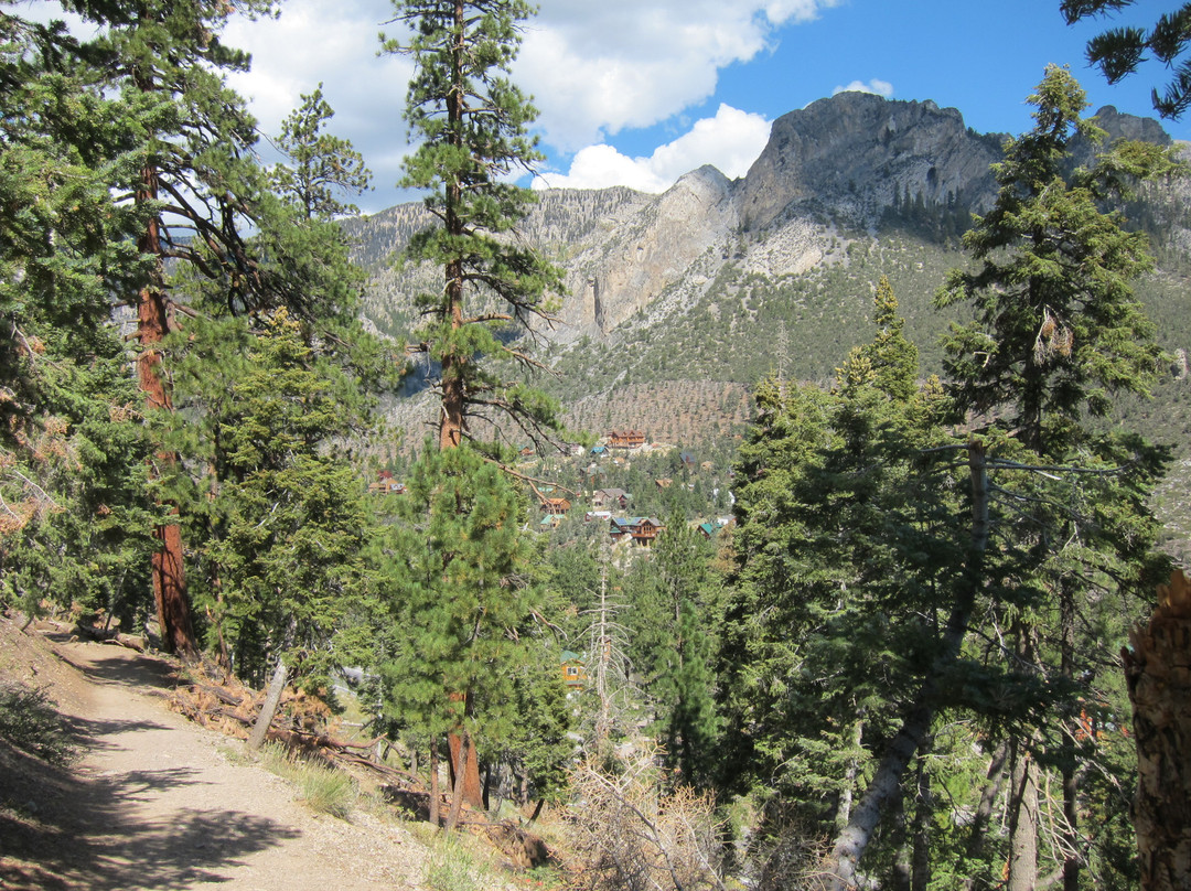 查尔斯顿山-拉斯维加斯必去景点