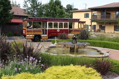 Sonoma Valley Wine Trolley景点图片