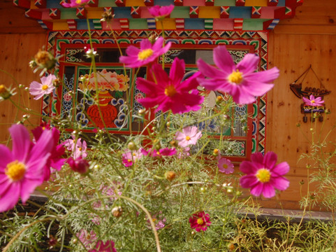 九寨沟格桑花客栈主图