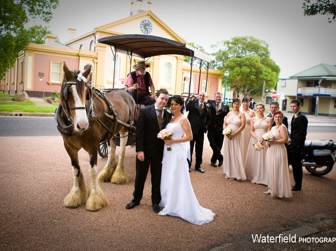 Morpeth Horse Carriage景点图片