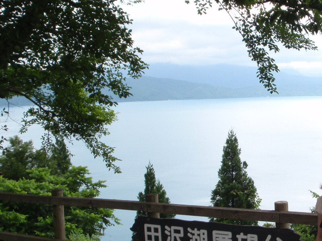 Katamaeyama Forest Park-仙北市必去景点