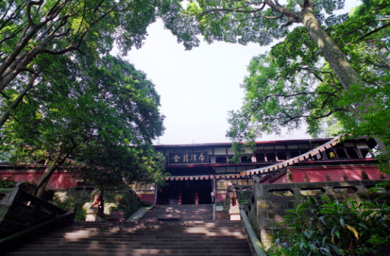 伏虎寺-峨眉山市必去景点