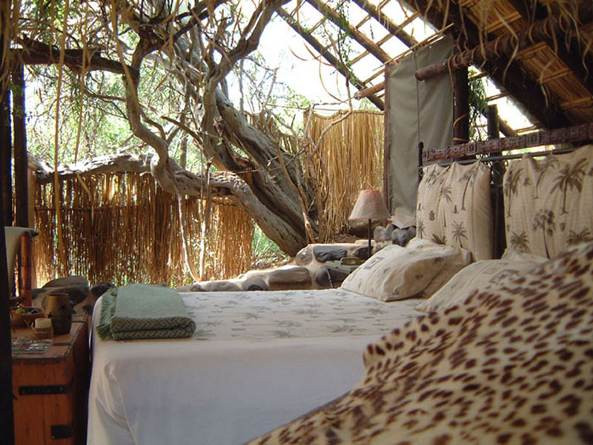 Zingela Safari & River Company