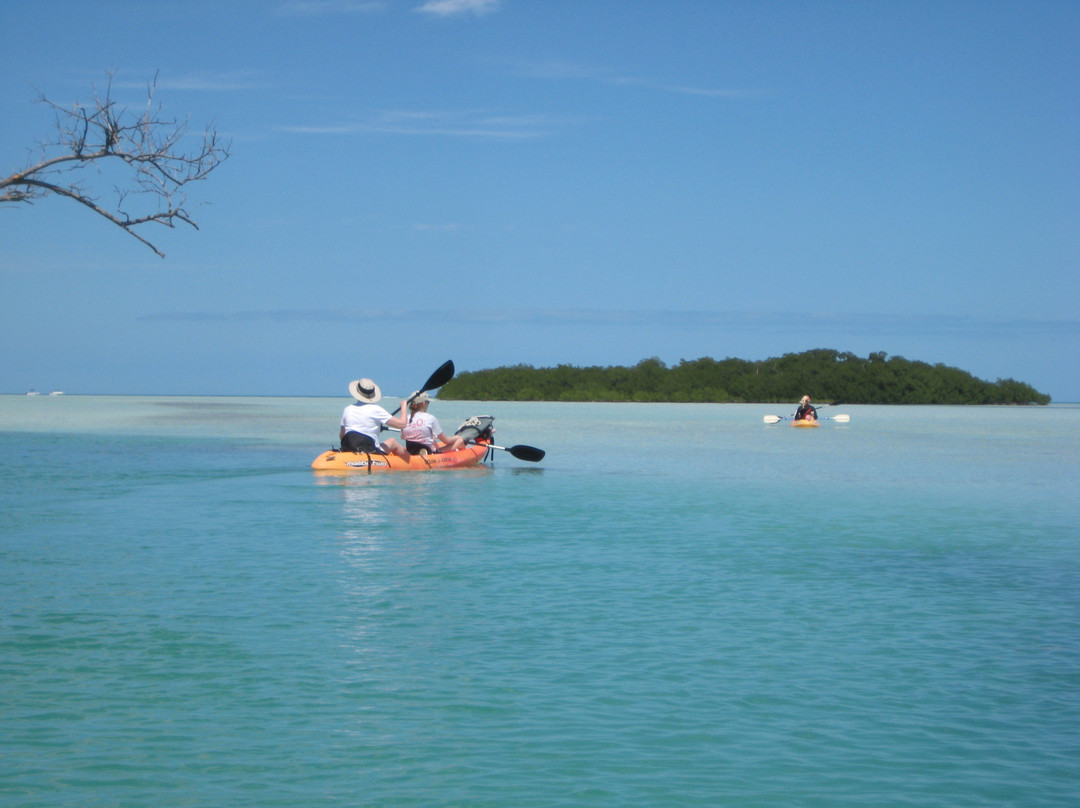 Reelax Charters-Sugarloaf Key必去景点