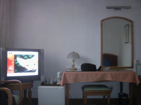 保利大酒店主图