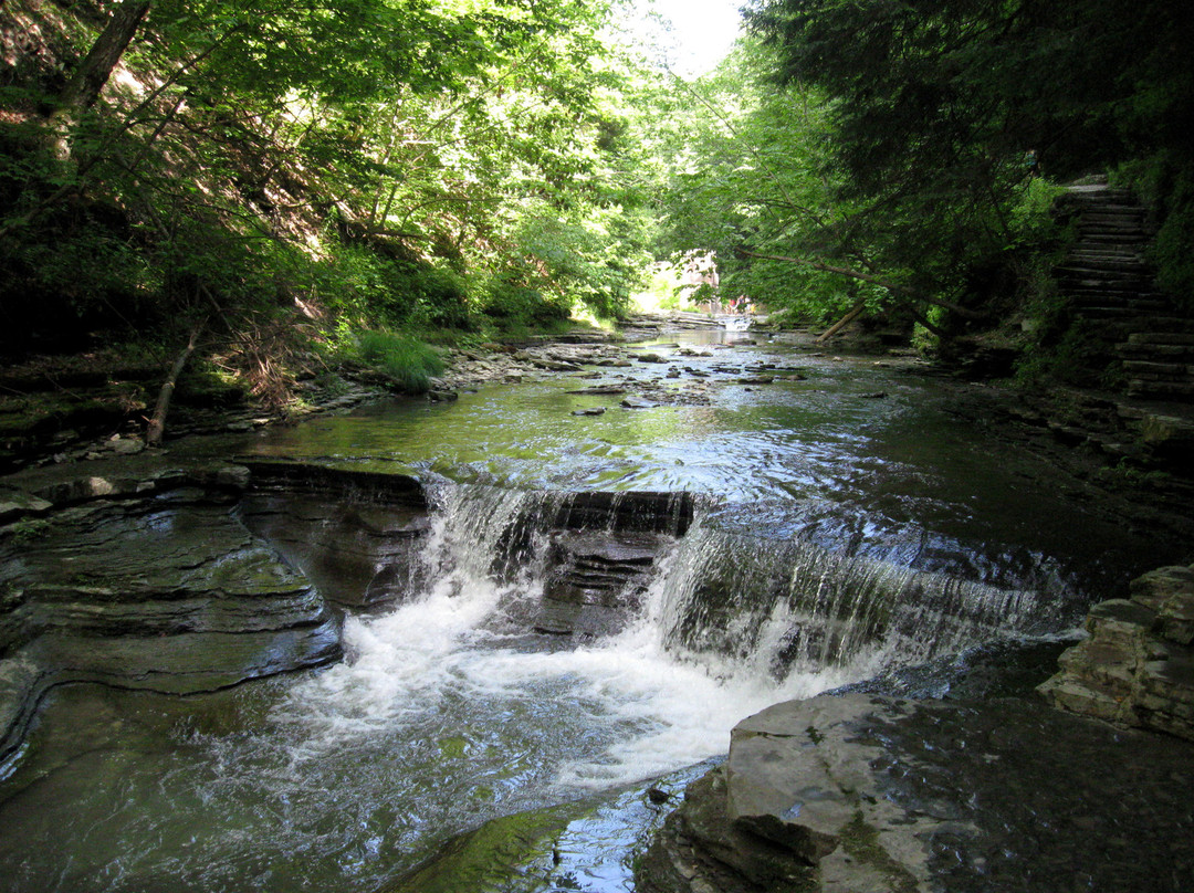 Stony Brook State Park-Dansville必去景点