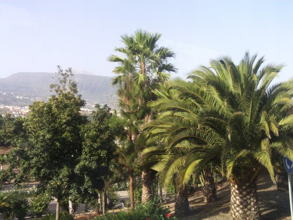 Playa de Las Gaviotas景点图片