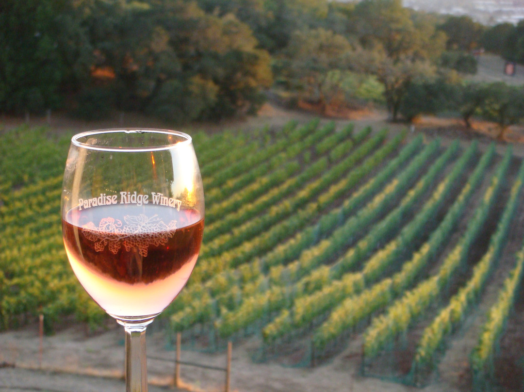 Paradise Ridge Winery景点图片