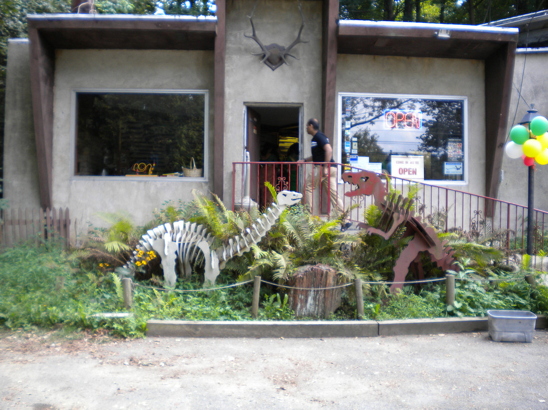 Lost River Caverns-Hellertown必去景点