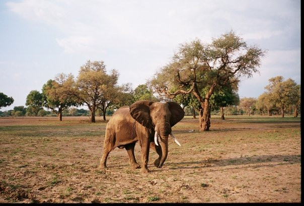 null-南卢安瓜国家公园