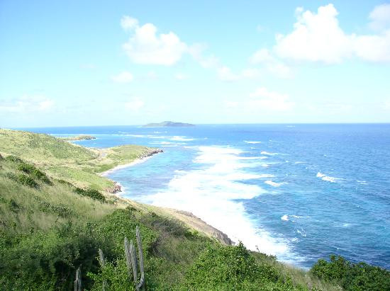 Carringtons Inn St. Croix主图