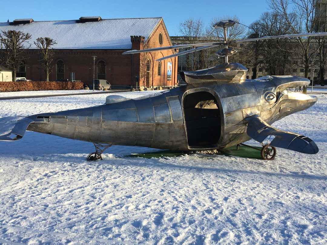 Hval-i-kopter-欧胡斯必去景点