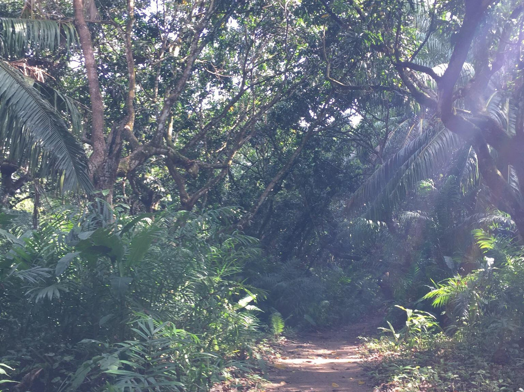 Costa Rica Day Trips景点图片
