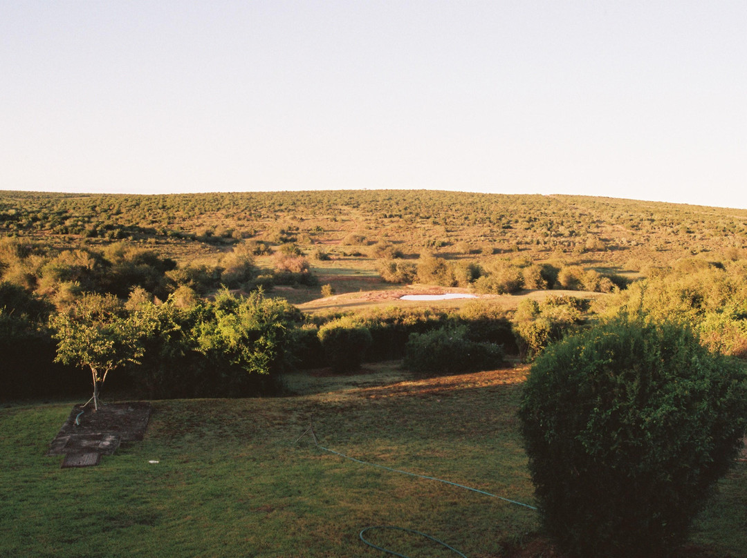 阿多大象国家公园-阿多必去景点