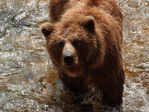 Homer Flyout Adventures-荷马必去景点