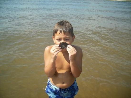 Barnsdall旅游攻略图片